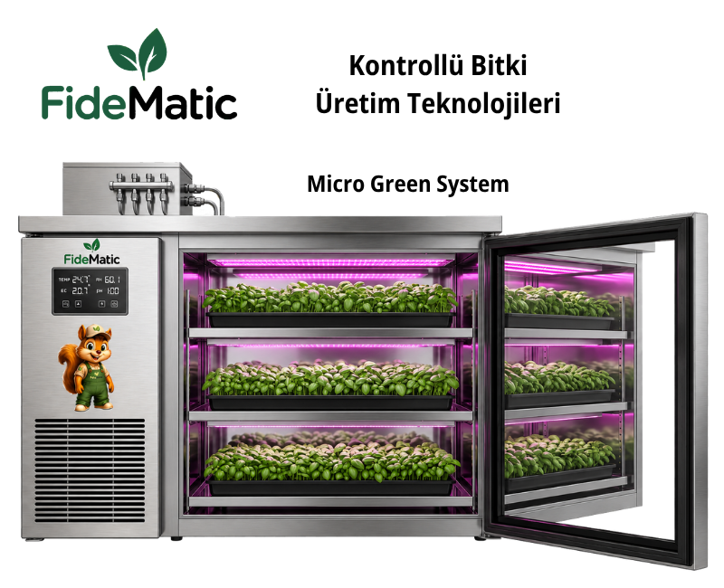 Micro Green System